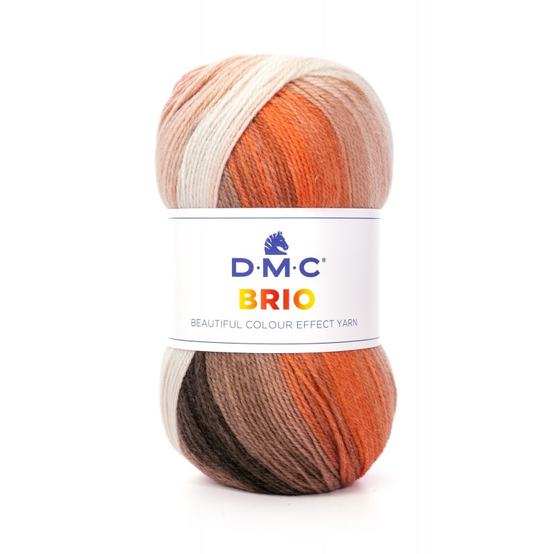 DMC Lana Brio sfumato 100g gomitolo 406 - 1