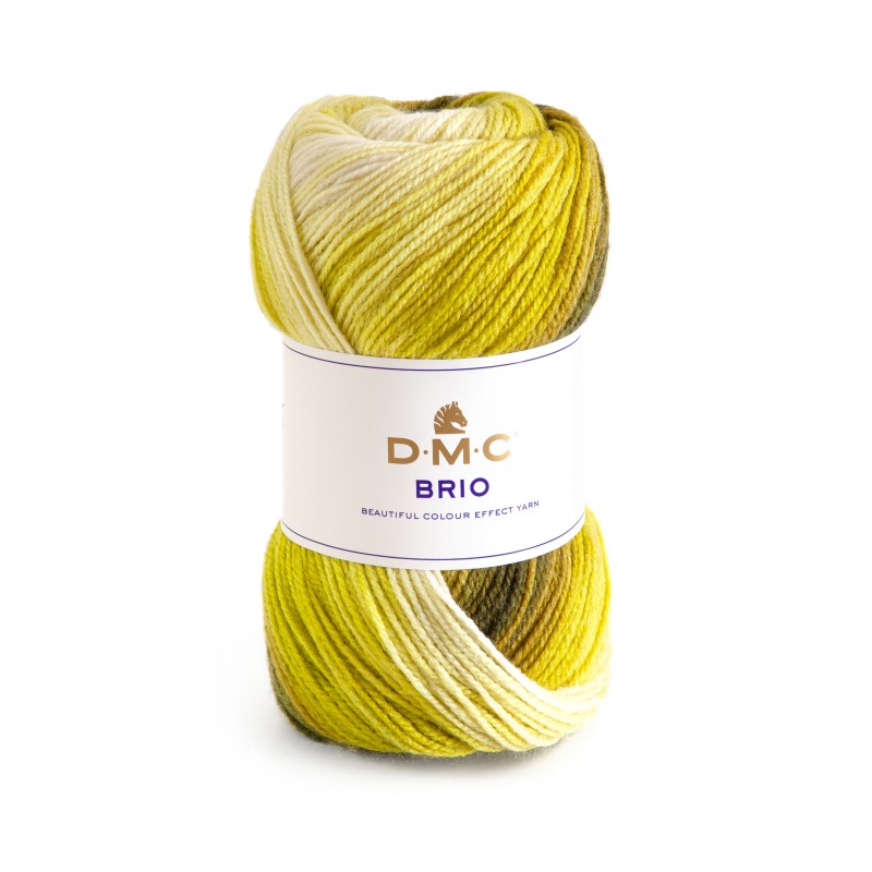 DMC Lana Brio sfumato 100g gomitolo 410 - 1