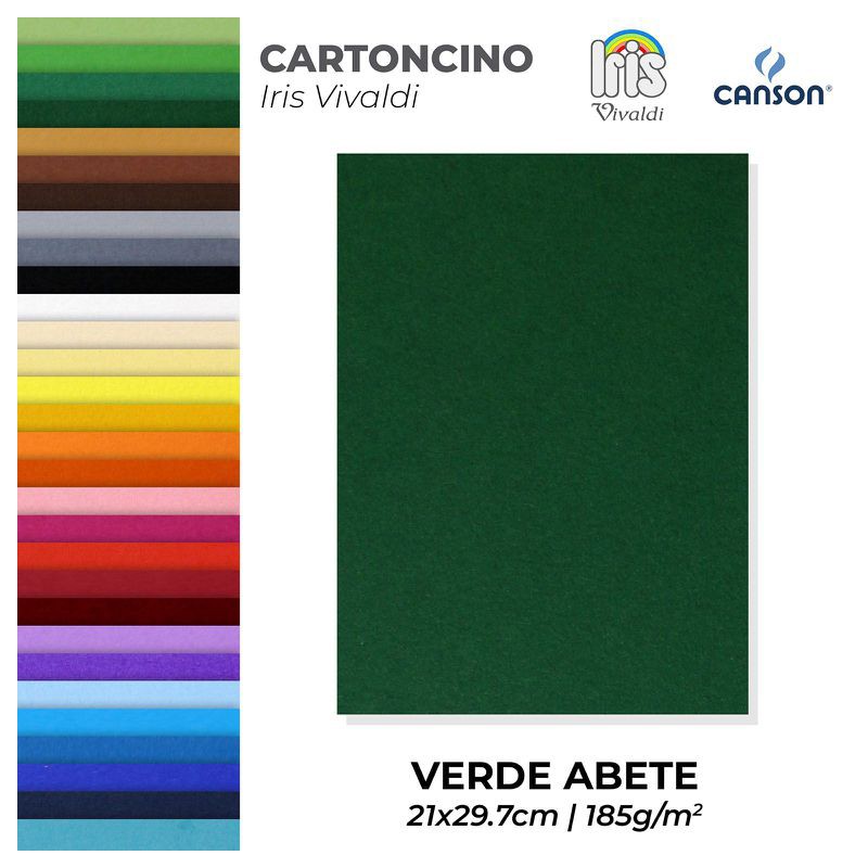 Cartoncino Vivaldi Canson 185 G/mq 50 Fogli A4 Bianco CANSON - C200040152